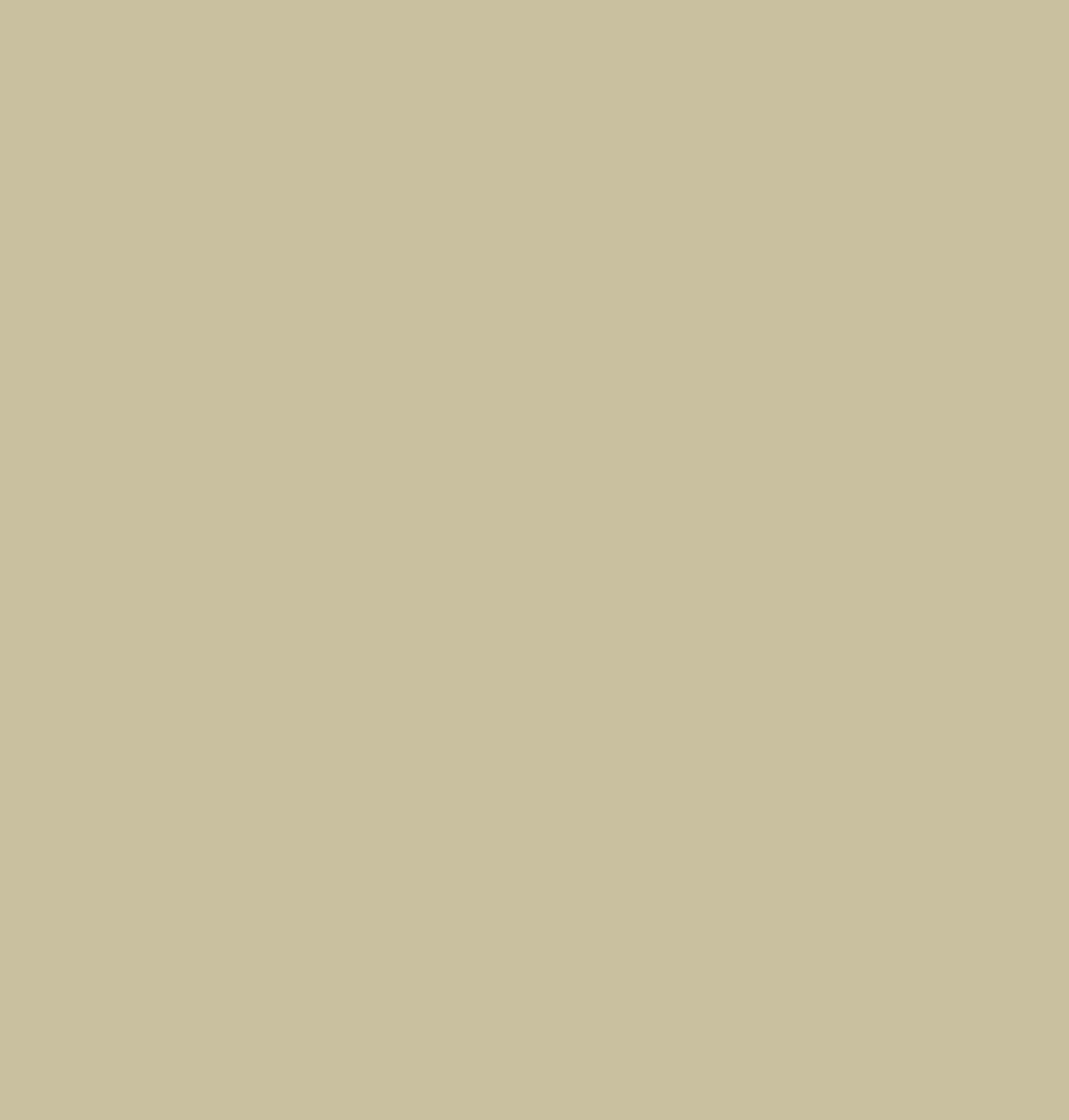 Pebble Beige 